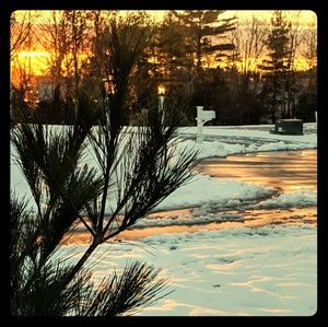 Meet your Posher, Maura